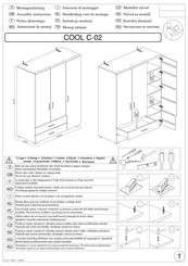 CARRYHOME COOL C-02 Notice De Montage