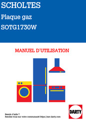 SCHOLTES SOTG1730W Manuel D'utilisation