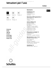 SCHOLTES SV 39 NAX Mode D'emploi