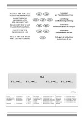 Lotus FTLRT-98GS Instructions Pour L'installation Et L'emploi