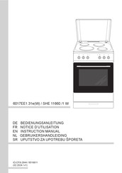 Amica SHE 11660 /1 W Notice D'utilisation