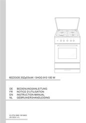 Amica 6022GG5.33ZpDScW Notice D'utilisation