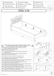 Cantus COOL C-03 Notice De Montage