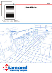 Diamond CB425A Manuel D'installation, Utilisation Et Entretien