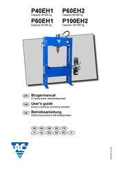 AC P100EH2 Guide De L'utilisateur