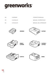 GreenWorks 2900802 Manuel D'opérateur