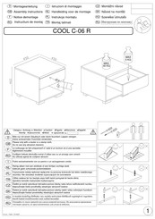 Cantus COOL C-06 R Notice De Montage