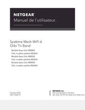 NETGEAR RBS850 Manuel De L'utilisateur