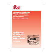 RIBE ENERGY KPC3900G Manuel D'entretien