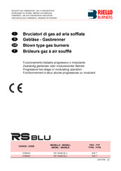 Riello Burners RS BLU Serie Instructions Pour Installation, Utilisation Et Entretien