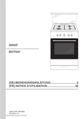 Amica SHGG 11668 E Notice D'utilisation