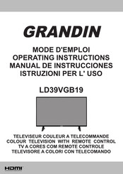 Grandin LD39VGB19 Mode D'emploi