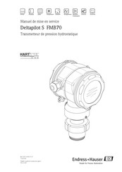 Endress+Hauser Deltapilot S FMB70 Manuel De Mise En Service