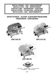 CELME GPE 250 CE Instructions D'utilisation