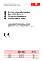 Riello 3788450 Instructions Pour Installation, Utilisation Et Entretien