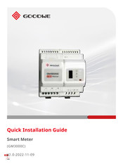 Goodwe GM3000C Manuel D'instructions