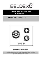 Beldeko TG3V-115 Notice D'utilisation