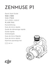 dji ZENMUSE P1 Guide De Démarrage Rapide