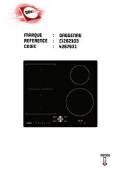 Gaggenau CI262103 Notice D'utilisation