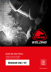 STAYER WELDING MIG250 CM Guide De L'utilisateur