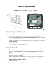 Somfy Keytis NS2RTS Notice De Programmation