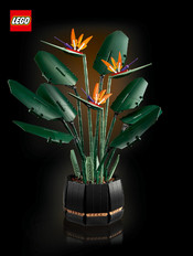 LEGO Bird of Paradise Mode D'emploi