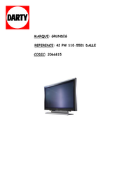 Grundig 42 PW 110-5501 DALLE Mode D'emploi