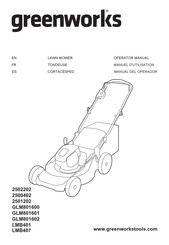 GreenWorks 2500402 Manuel D'utilisation