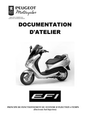 Peugeot Motocycles EFi Documentation D'atelier