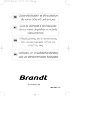 Brandt TV382XT1 Guide D'utilisation Et D'installation