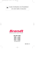 Brandt TI210BF1 Guide D'utilisation Et D'installation