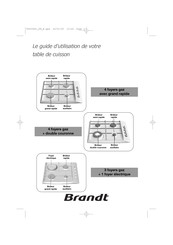 Brandt TE518XS1 Guide D'utilisation