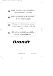 Brandt TI380BT1 Guide D'utilisation Et D'installation