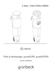 Grunbeck cliQlock pureliQ:RX Notice D'utilisation