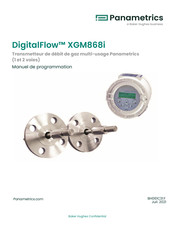 Baker Hughes Panametrics DigitalFlow XGM868i Manuel De Programmation