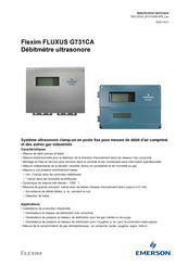 Emerson Flexim FLUXUS G731CA Serie Manuel D'utilisation