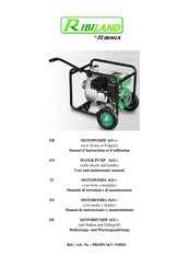 Ribimex 518541 Manuel D'instructions Et D'utilisation