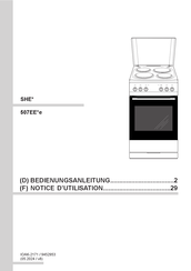 Amica 507EE e Serie Notice D'utilisation