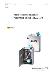 Endress+Hauser TDLAS JT33 Manuel De Mise En Service