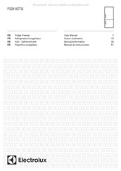 Electrolux FI291/2TS Notice D'utilisation