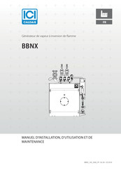 ICI Caldaie BBNX 100 Manuel D'installation, D'utilisation Et De Maintenance
