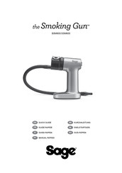 Sage Smoking Gun BSM600 Guide Rapide