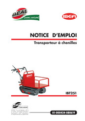 IBEA IBT251 Notice D'emploi