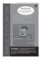 Intex DP30220 Manuel D'utilisation