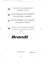 Brandt TI300 Guide D'utilisation Et D'installation