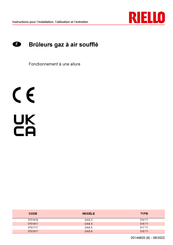 Riello 3751817 Instructions Pour L'installation, L'utilisation Et L'entretien