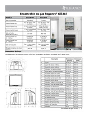 Regency Fireplace Products Regency Gi33LE Mode D'emploi