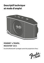 Teufel ROCKSTER GO 2 Mode D'emploi