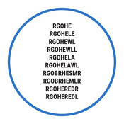 R-Go RGOHELA Mode D'emploi