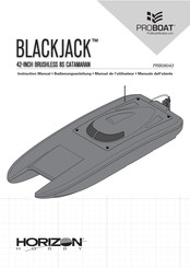 Horizon Hobby ProBoat BLACK JACK Manuel De L'utilisateur